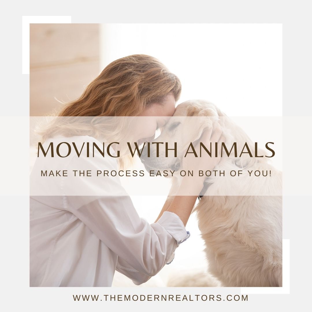 Moving With Animals