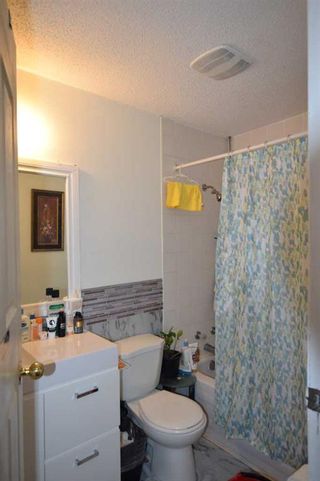 Photo 10: 103 Applewood Drive SE in Calgary: Applewood Park Detached for sale : MLS®# A2124915