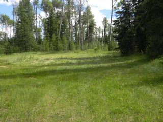 Photo 4: 127 Meadow Ponds Drive: Rural Clearwater County Land for sale : MLS®# A1021050