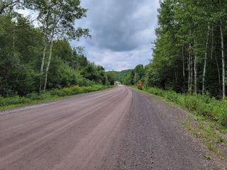 Photo 2: Churchville Road in Churchville: 108-Rural Pictou County Vacant Land for sale (Northern Region)  : MLS®# 202221062