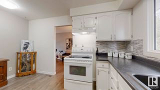 Photo 12: 8212 181 Street in Edmonton: Zone 20 House for sale : MLS®# E4308140