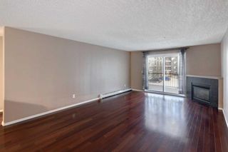 Photo 5: 3206 4975 130 Avenue SE in Calgary: McKenzie Towne Apartment for sale : MLS®# A2103386