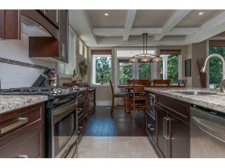 Photo 4: 32510 PTARMIGAN Drive in Mission: Mission BC House for sale : MLS®# F1446228