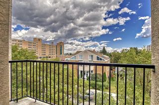 Photo 25: 444 315 24 Avenue SW in Calgary: Mission Apartment for sale : MLS®# A2072887