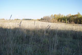 Photo 12: 31 53214 RR 13: Rural Parkland County Rural Land/Vacant Lot for sale : MLS®# E4270602