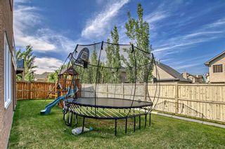 Photo 45: 167 Sherwood Hill NW in Calgary: Sherwood Detached for sale : MLS®# A2051696