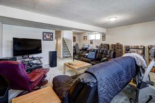 Photo 19: 124 Martindale Close NE in Calgary: Martindale Detached for sale : MLS®# A2130729