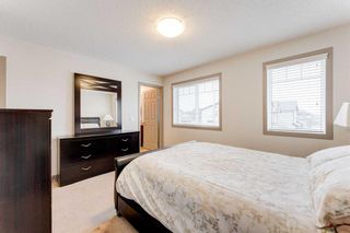 Photo 24: 2 Skyview Springs Rise NE in Calgary: Skyview Ranch Detached for sale : MLS®# A2129539