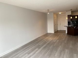Photo 9: 508 8880 Horton Road SW in Calgary: Haysboro Apartment for sale : MLS®# A1190610