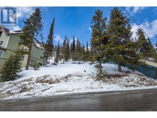 Photo 8: 7370 Porcupine Road in Big White: Vacant Land for sale : MLS®# 10304581