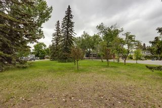 Photo 3: 424 Willow Park Drive SE in Calgary: Willow Park Detached for sale : MLS®# A2053524