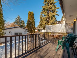 Photo 25: 6508 Silver Springs Way NW in Calgary: Silver Springs Detached for sale : MLS®# A1065186