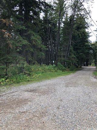 Photo 2: 305 Spruce Rd, Turtle Lake in Powm Beach: Lot/Land for sale : MLS®# SK924366