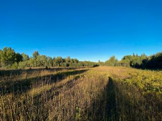 Photo 10: BLOCK D DL7872 TAKLA FOREST Road in Prince George: Reid Lake Land for sale in "McPhee Road" (PG Rural North)  : MLS®# R2768066