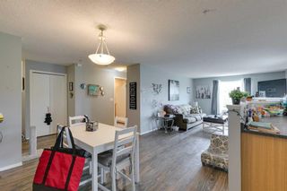 Photo 14: 219 3000 Citadel Meadow Point NW in Calgary: Citadel Apartment for sale : MLS®# A2130196