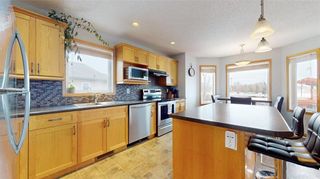 Photo 19: 55 Prairieview Drive in La Salle: House for sale : MLS®# 202400510