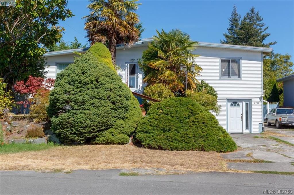 Main Photo: 4211 Belvedere Rd in VICTORIA: SE Lake Hill House for sale (Saanich East)  : MLS®# 769195