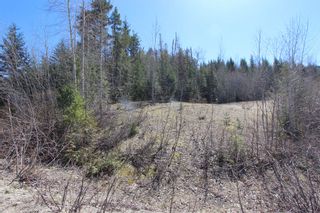 Photo 3: Lot 11 Ivy Road: Eagle Bay Vacant Land for sale (South Shuswap)  : MLS®# 10229941