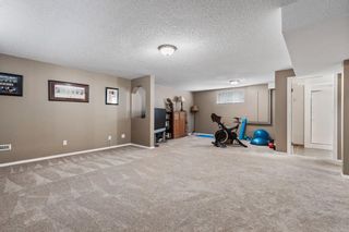 Photo 26: 296 Mt. Brewster Circle SE in Calgary: McKenzie Lake Detached for sale : MLS®# A1118914