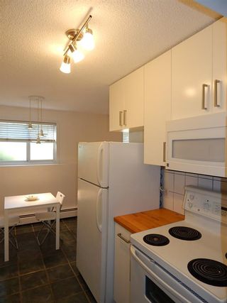 Photo 12: 4 104 Sabrina Way SW in Calgary: Southwood Apartment for sale : MLS®# A2020765