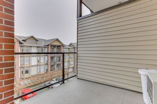 Photo 21: 440 5660 201A STREET in Langley: Langley City Condo for sale