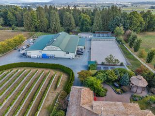 Photo 8: 5290 OLUND Road in Abbotsford: Bradner Agri-Business for sale in "SEASIDE PEARL FARMGATE WINERY" : MLS®# C8054389