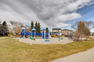 Photo 45: 238 Douglas Ridge Place SE in Calgary: Douglasdale/Glen Detached for sale : MLS®# A2090819
