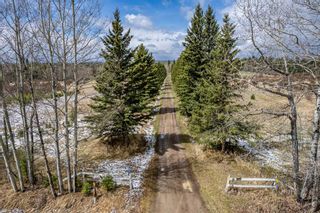 Photo 5: 31376 RR 52: Rural Mountain View County Detached for sale : MLS®# A2113463