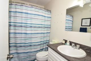 Photo 19: 8036 34 Avenue NW in Calgary: Bowness Detached for sale : MLS®# A2025586