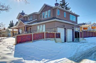 Photo 44: 2603 45 Street SW in Calgary: Glendale Detached for sale : MLS®# A1013600