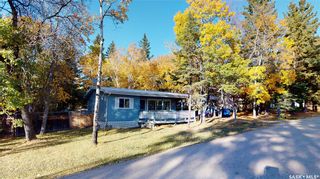 Photo 21: 38 Birch Crescent in Moose Mountain Provincial Park: Residential for sale : MLS®# SK901074