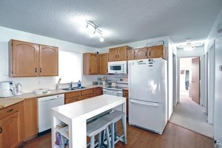 Photo 12: 268 Coventry Close NE in Calgary: Coventry Hills Detached for sale : MLS®# A1233815