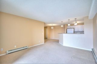 Photo 13: 1425 8810 Royal Birch Boulevard NW in Calgary: Royal Oak Apartment for sale : MLS®# A1209055