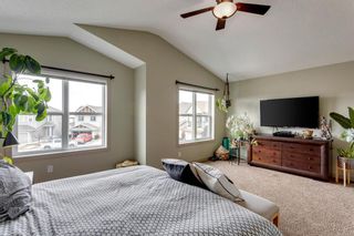Photo 26: 92 COPPERPOND Mews SE in Calgary: Copperfield Detached for sale : MLS®# A1084015
