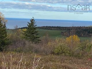Photo 1: 10 acres Dunmaglass Road in Knoydart: 108-Rural Pictou County Vacant Land for sale (Northern Region)  : MLS®# 202215407