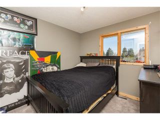 Photo 24: 12439 LAKE FRASER Way SE in Calgary: Lake Bonavista House for sale : MLS®# C4058715