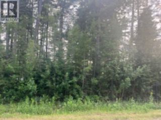 Photo 2: LOT 4 VALHALLA ROAD in Quesnel: Vacant Land for sale : MLS®# R2861465