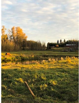 Photo 2: 28031 TWP RD 514: Rural Parkland County Rural Land/Vacant Lot for sale : MLS®# E4267943