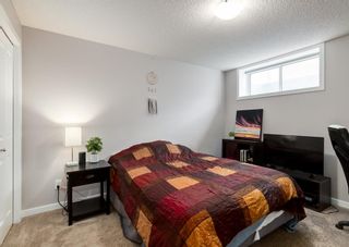 Photo 26: 269 Walden Heights SE in Calgary: Walden Detached for sale : MLS®# A1199662