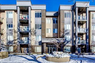 Photo 25: 408 910 18 Avenue SW in Calgary: Lower Mount Royal Apartment for sale : MLS®# A1039437