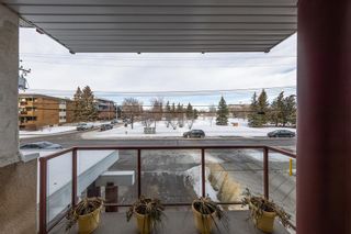 Photo 23: 201 603 7 Avenue NE in Calgary: Renfrew Apartment for sale : MLS®# A2018176