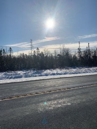Photo 3: Acreage Highway 103 in Beaver Dam: 407-Shelburne County Vacant Land for sale (South Shore)  : MLS®# 202102356
