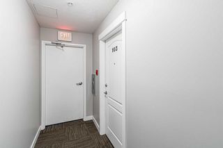 Photo 3: 103 41 6 Street NE in Calgary: Bridgeland/Riverside Apartment for sale : MLS®# A2144800