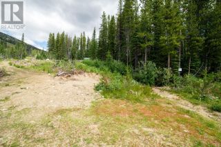 Photo 11: 369 BUCK Road in Oliver: Vacant Land for sale : MLS®# 200536