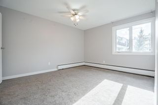 Photo 21: 317 723 57 Avenue SW in Calgary: Windsor Park Apartment for sale : MLS®# A2051821