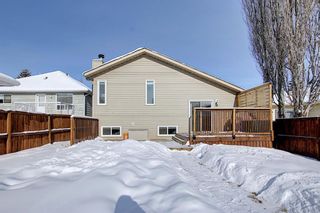 Photo 47: 119 Shawinigan Drive SW in Calgary: Shawnessy Detached for sale : MLS®# A1068163