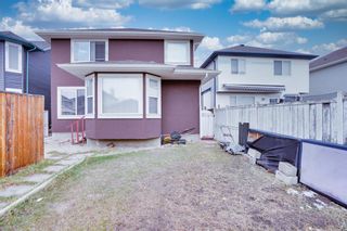 Photo 47: 53 Martha's Haven Green NE in Calgary: Martindale Detached for sale : MLS®# A2051388