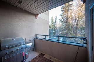Photo 32: 229 20 Discover Ridge Close SW in Calgary: Discovery Ridge Apartment for sale : MLS®# A1237261