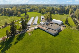 Photo 2: 711 256 Street in Langley: Otter District Agri-Business for sale : MLS®# C8059764
