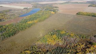 Photo 10: Huvenaars Land in Barrier Valley: Farm for sale (Barrier Valley Rm No. 397)  : MLS®# SK945619